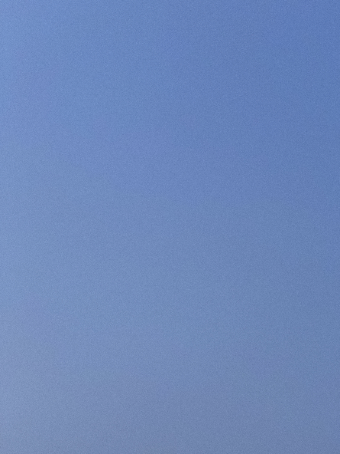 0020_Sarker-Protick_2020-2021