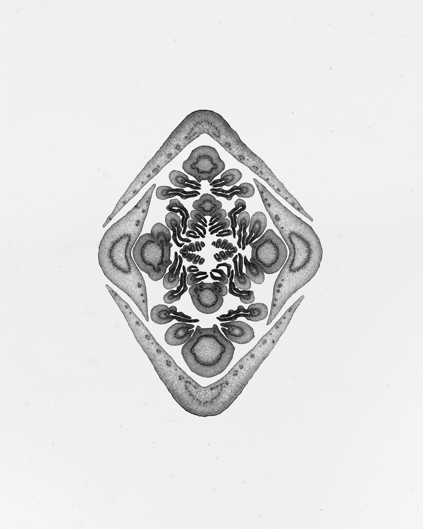 TD_section_019
